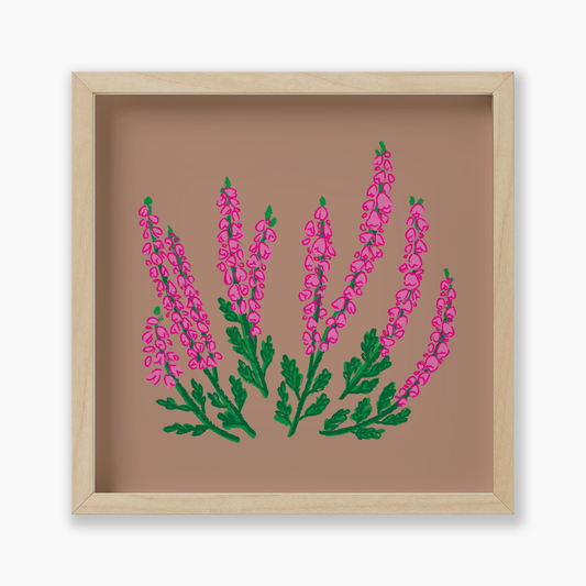 Calluna vulgaris Flowers, Floral, 9x9 " | Art Print